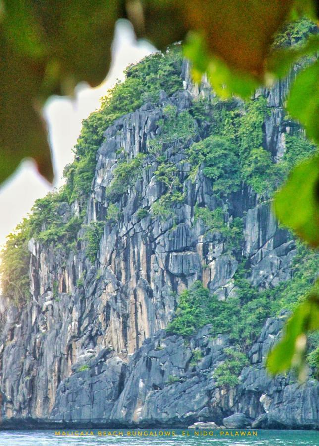 Maligaya Beach Bungalows El Nido Kültér fotó